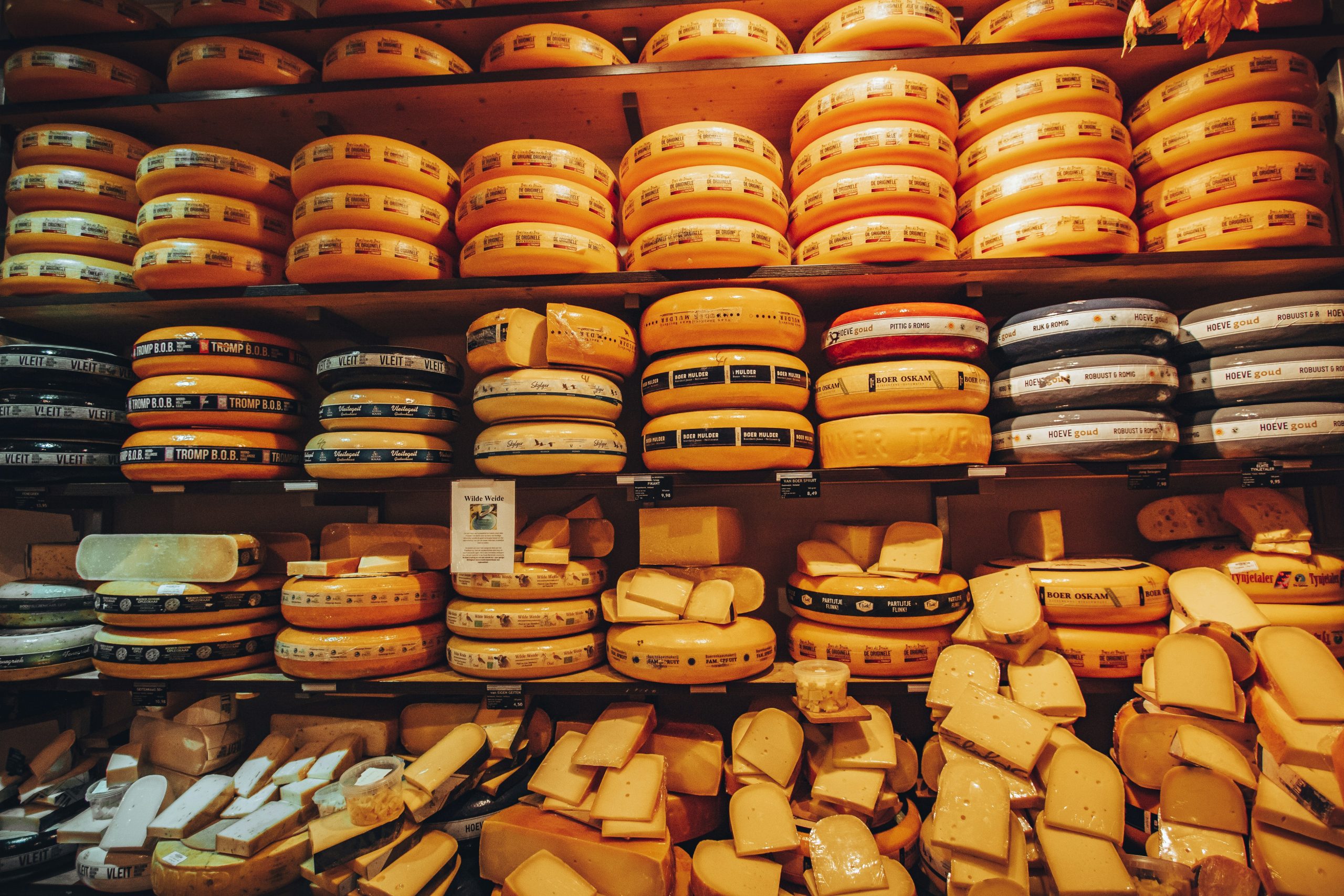 image with different cuts of dutch cheese